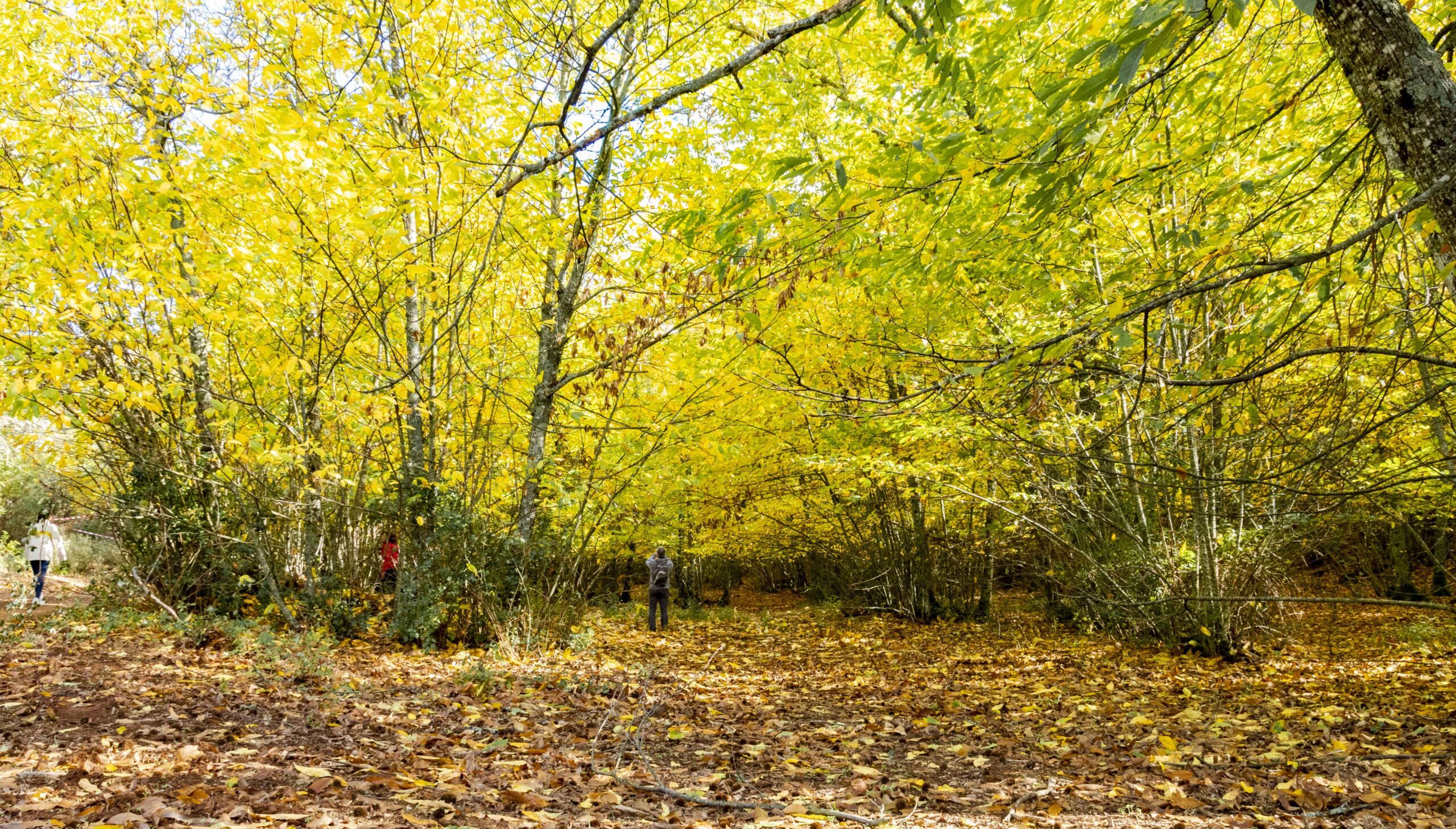 senderismo en cordoba